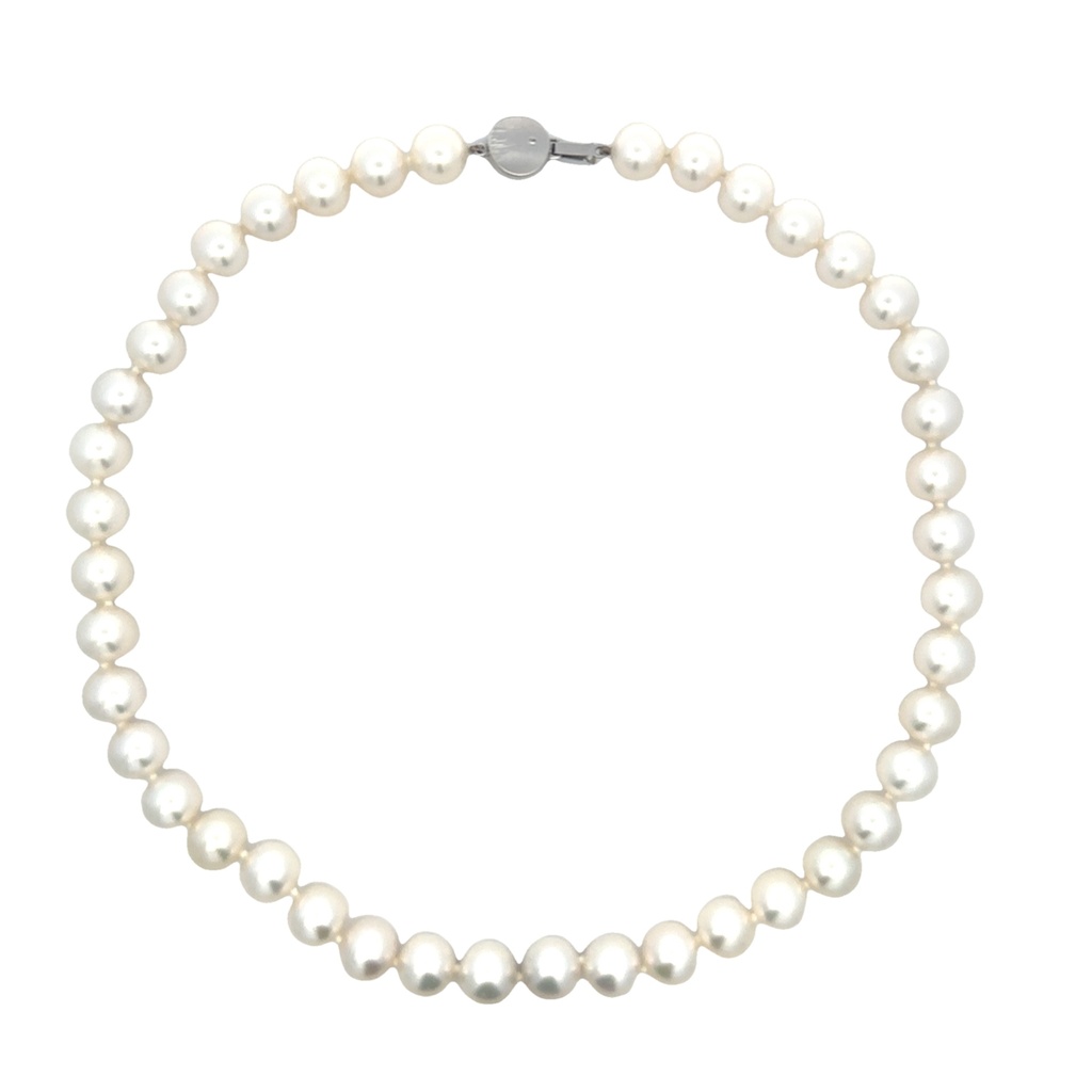 South Sea Pearl Necklace With 14K White Gold Circular BoxClasp
