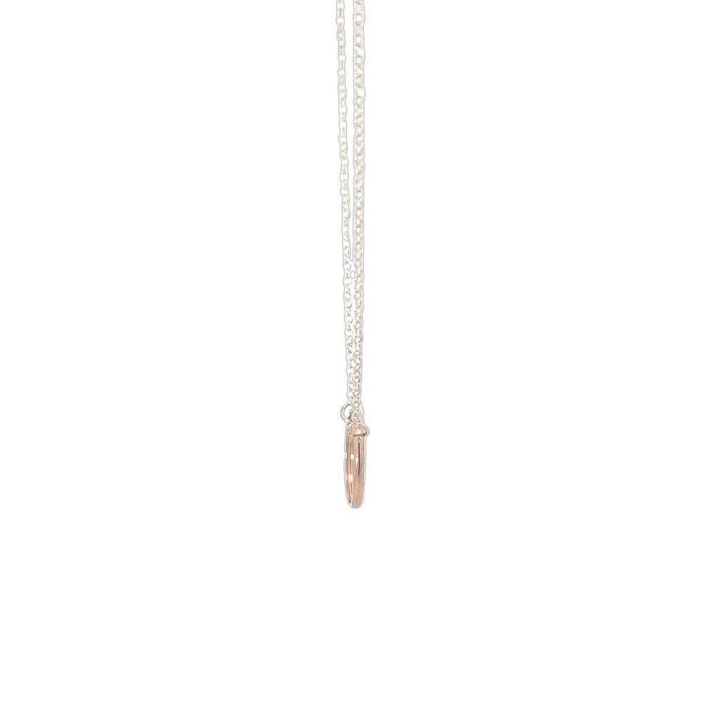 Petals Silver Necklace | "Grandmother"  With Linked Circles