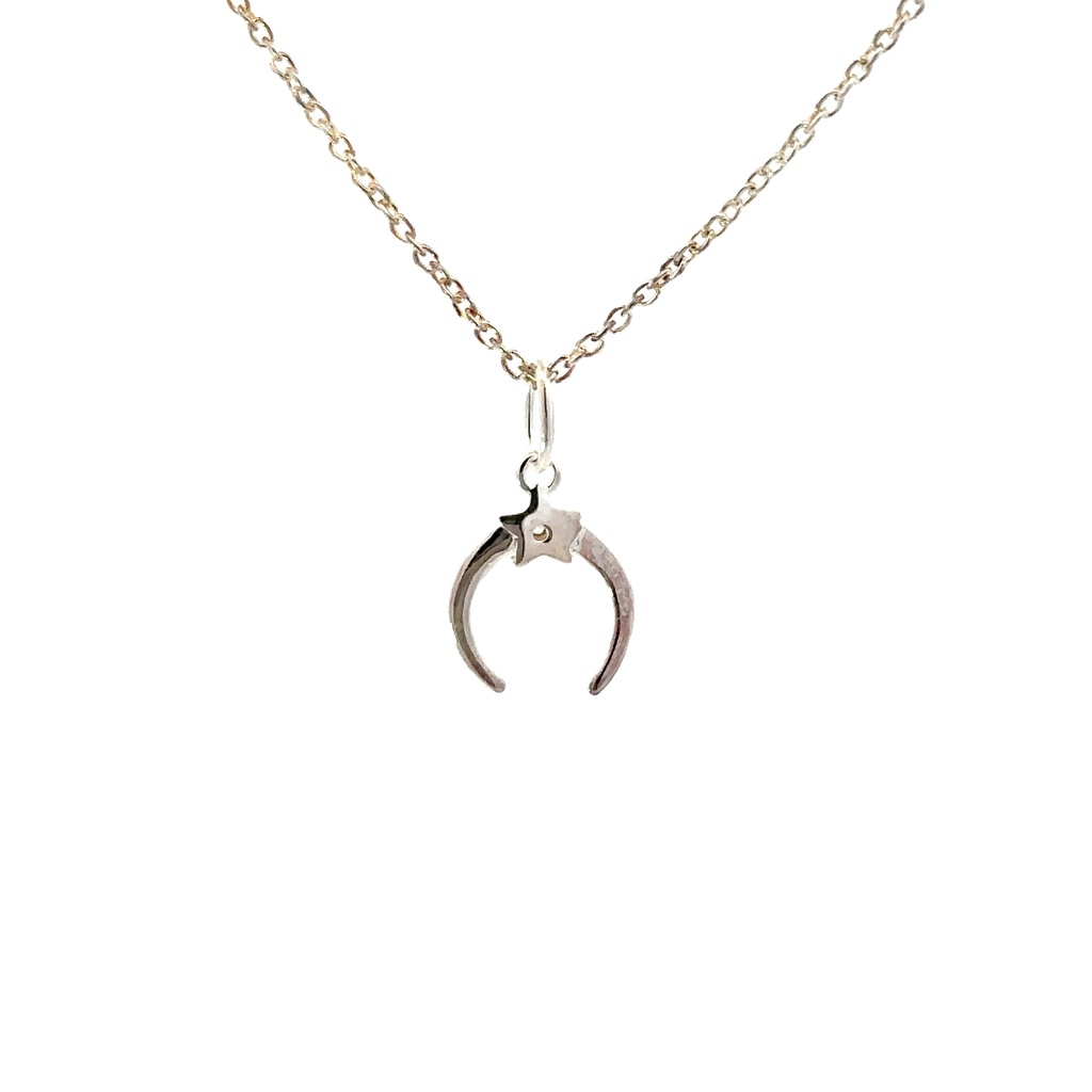 Petals Sterling Silver New Best Friend Moon Necklace