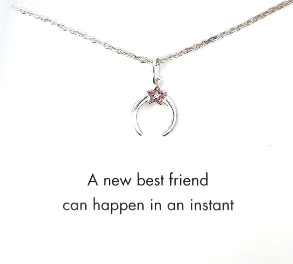 Petals Sterling Silver New Best Friend Moon Necklace
