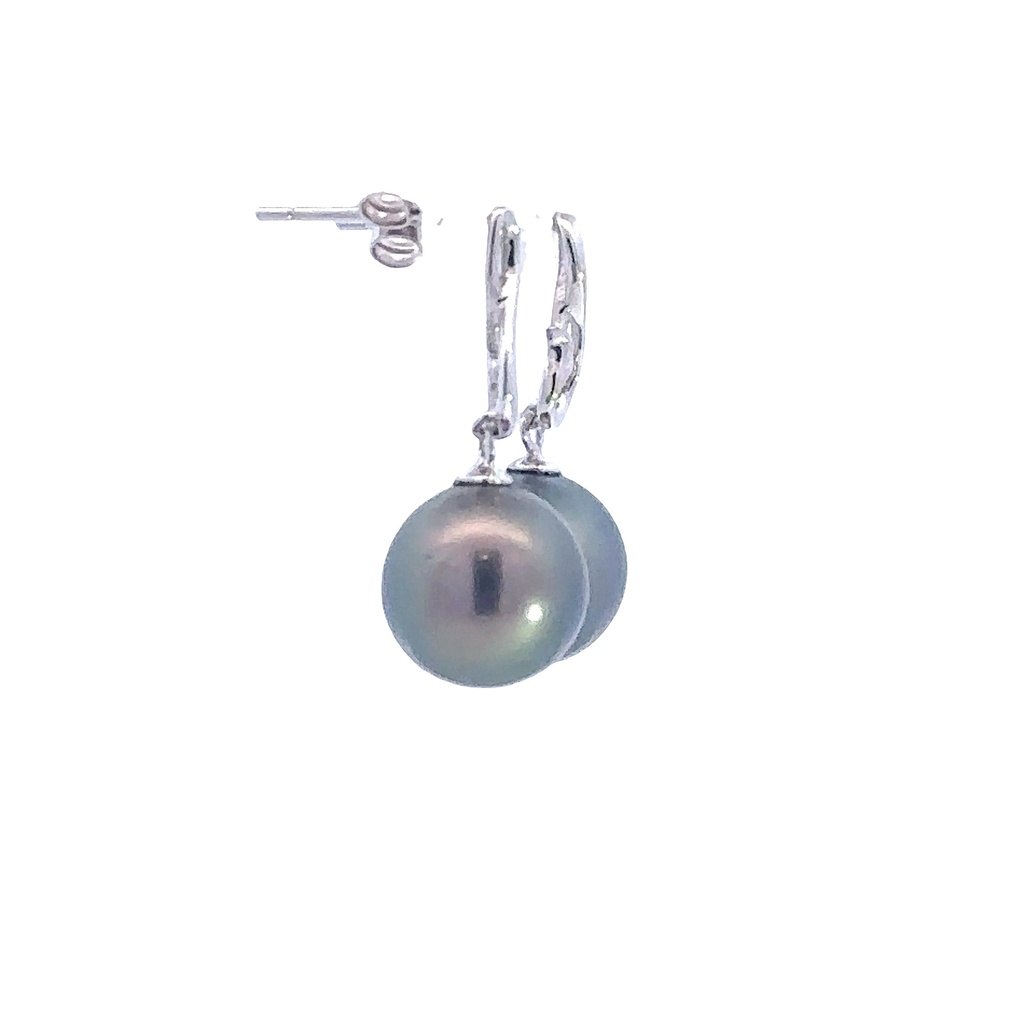 Tahitian Pearl Drop Studs In Sterling Silver