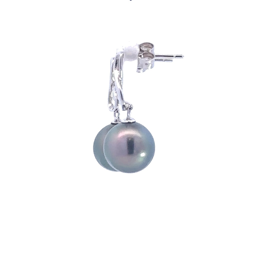 Tahitian Pearl Drop Studs In Sterling Silver