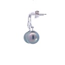 Tahitian Pearl Drop Studs In Sterling Silver