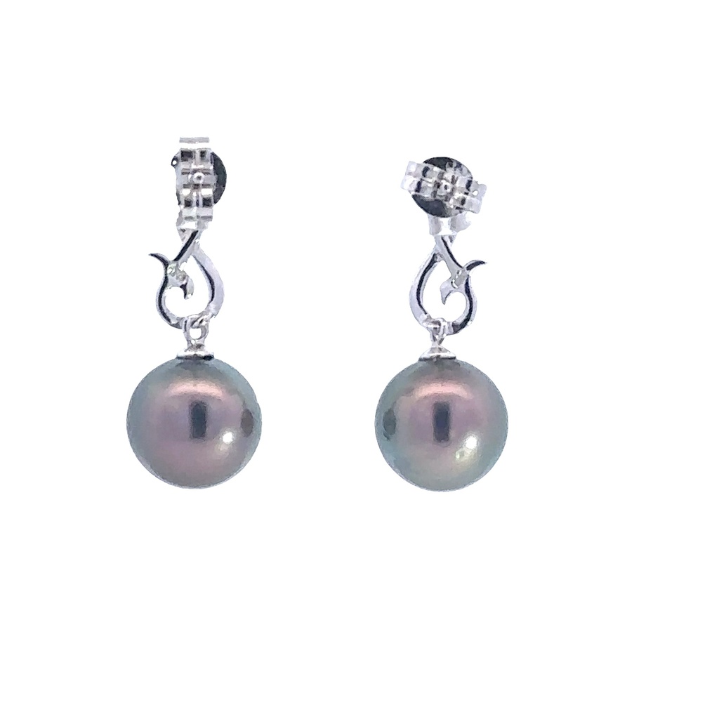 Tahitian Pearl Drop Studs In Sterling Silver
