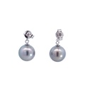 Tahitian Pearl Studs In Sterling Silver