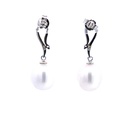 Freshwater Pearl Drop Earrings Sterling Silver