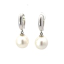 South sea pearls on hoops