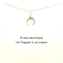 Petals Sterling Silver New Best Friend Moon Necklace (copy)