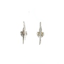 Coconut palm earrings in silver