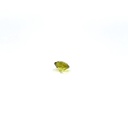 Loose Natural Yellow/Green Parti Sapphire 0.87ct