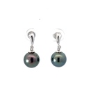 18ct White Gold Tahitian Pearl & Diamond Earrings