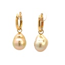 Baroque south sea pearl drops on hoops 14K