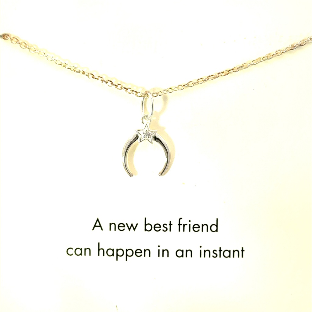Sterling silver necklace with crescent moon & star "A new best friend can happen in an instant"