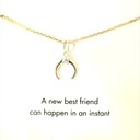 Sterling silver necklace with crescent moon & star "A new best friend can happen in an instant"