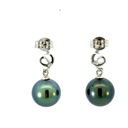 Tahitian pearl drops on a squiggle stud earrings