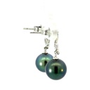 Tahitian pearl drops on a squiggle stud earrings