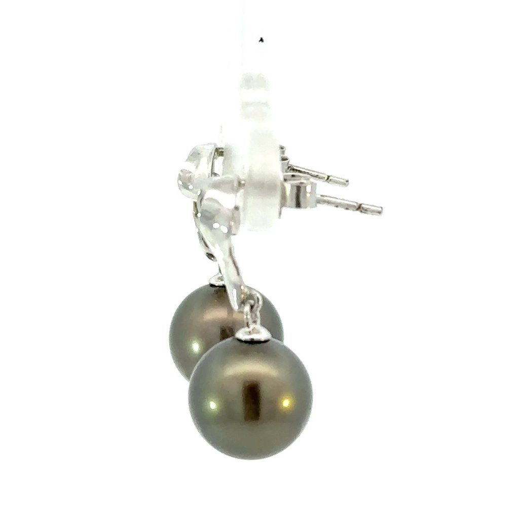 Tahitian pearl drop earrings with a swirl stud in silver