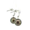 Tahitian pearl drop earrings with a swirl stud in silver