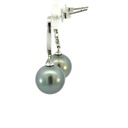 Sterling silver Tahitian pearl earrings with elegant swirl stud set with cz