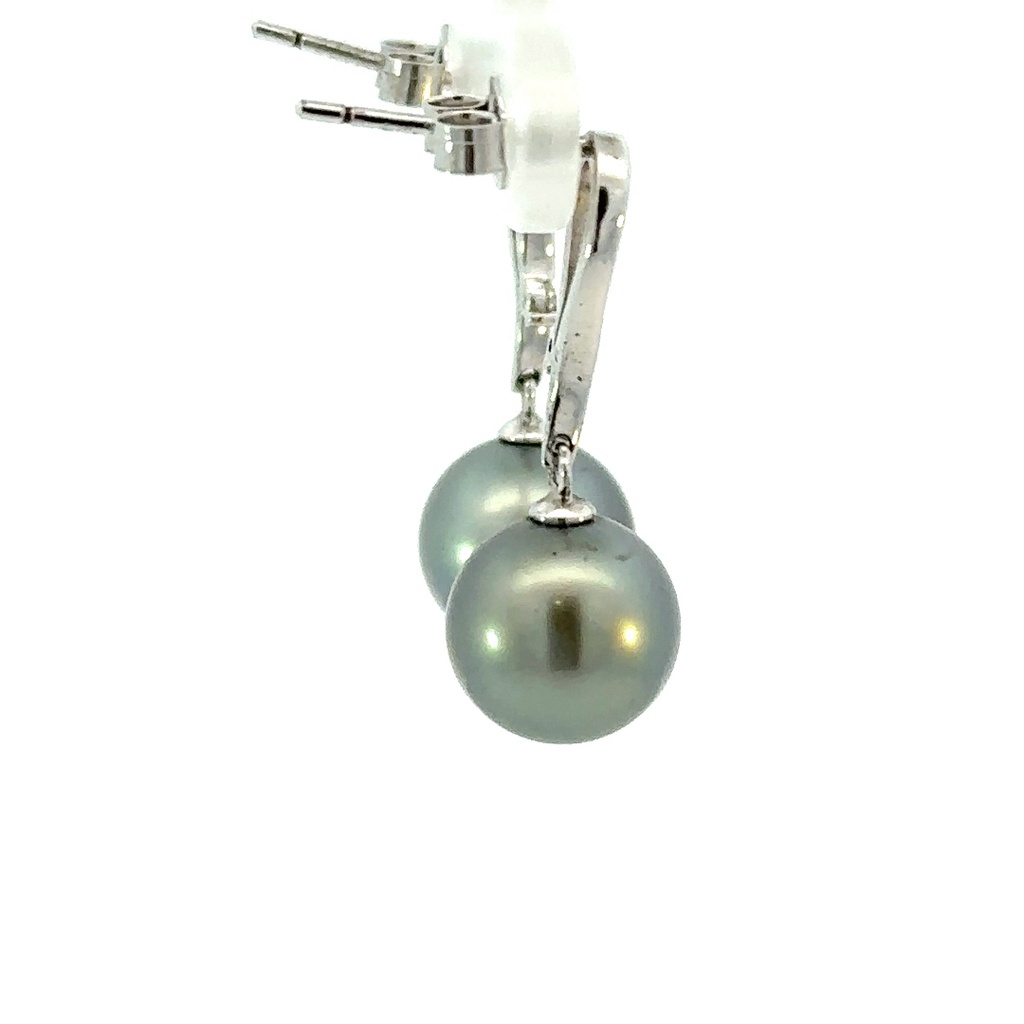 Sterling silver Tahitian pearl earrings with elegant swirl stud set with cz