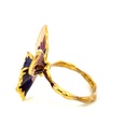 Terinos butterfly ring