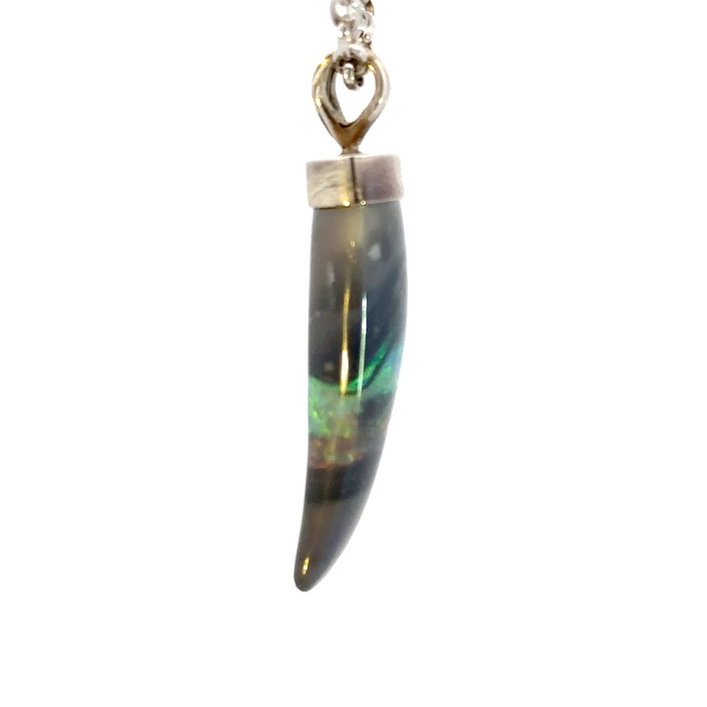 Solid sharks tooth pendant set with a sterling silver cap