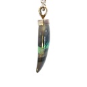 Solid sharks tooth pendant set with a sterling silver cap