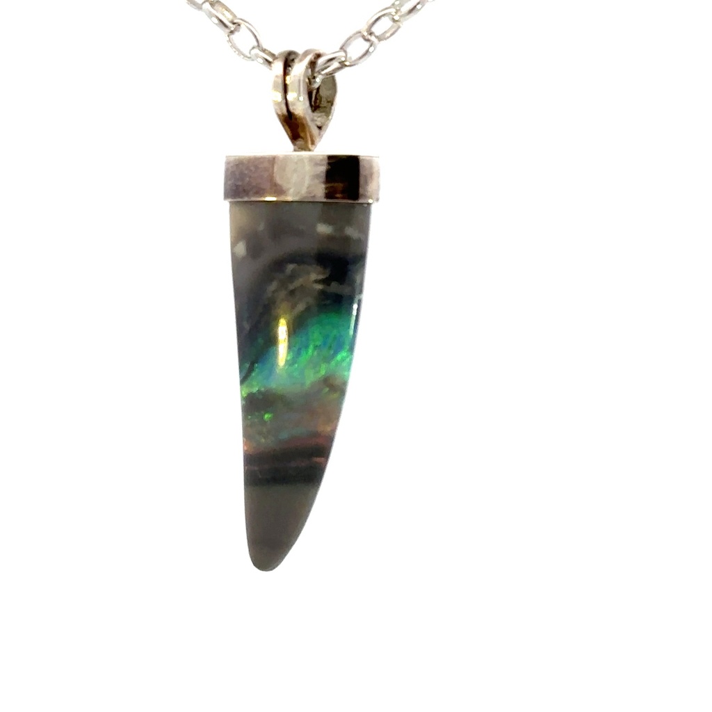 Solid sharks tooth pendant set with a sterling silver cap