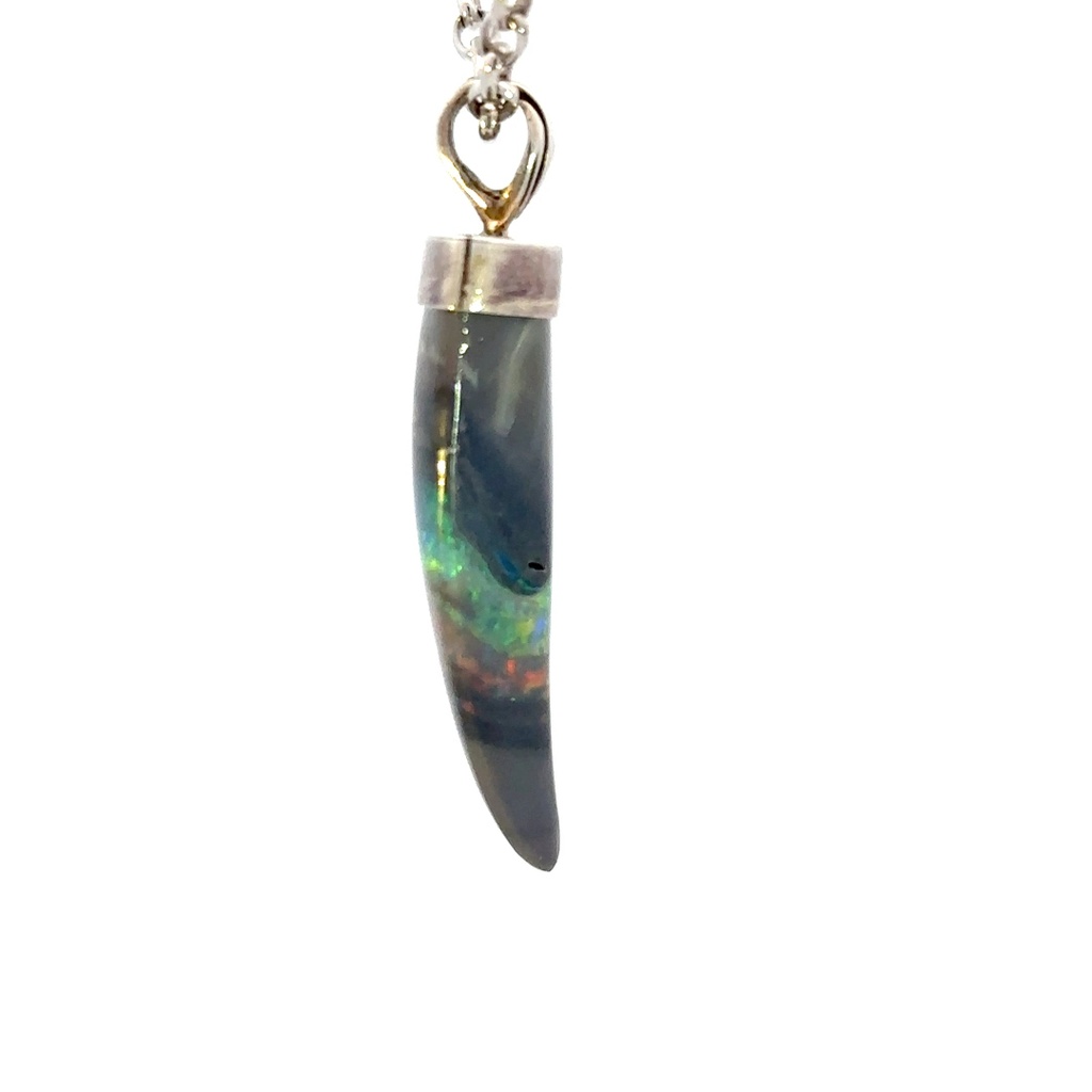 Solid sharks tooth pendant set with a sterling silver cap