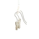 Silver Small Alcides Butterfly Earrings