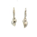 Seashell earrings in sterling silver