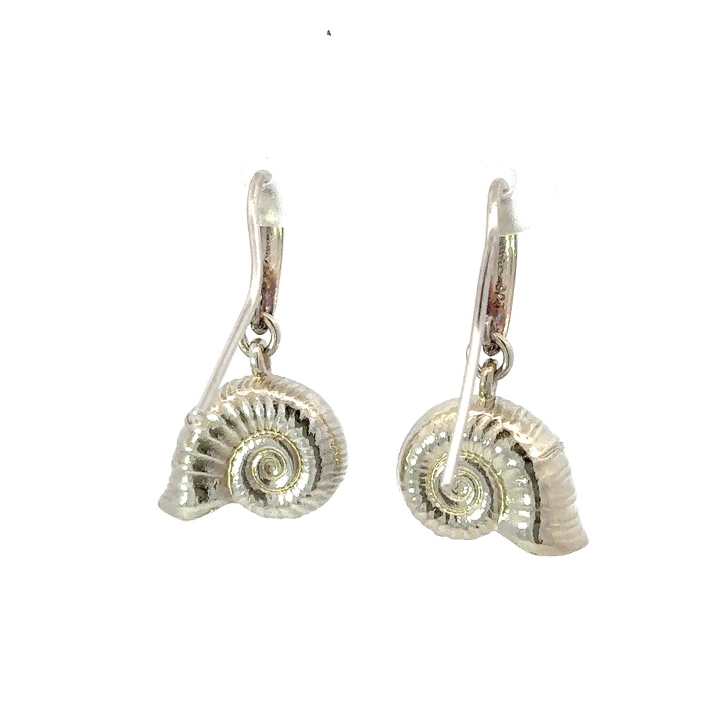 Nautilus shell earrings in sterling silver