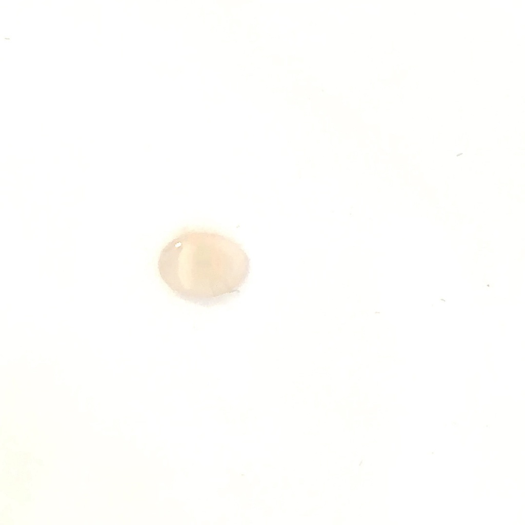 Solid white opal gemstone