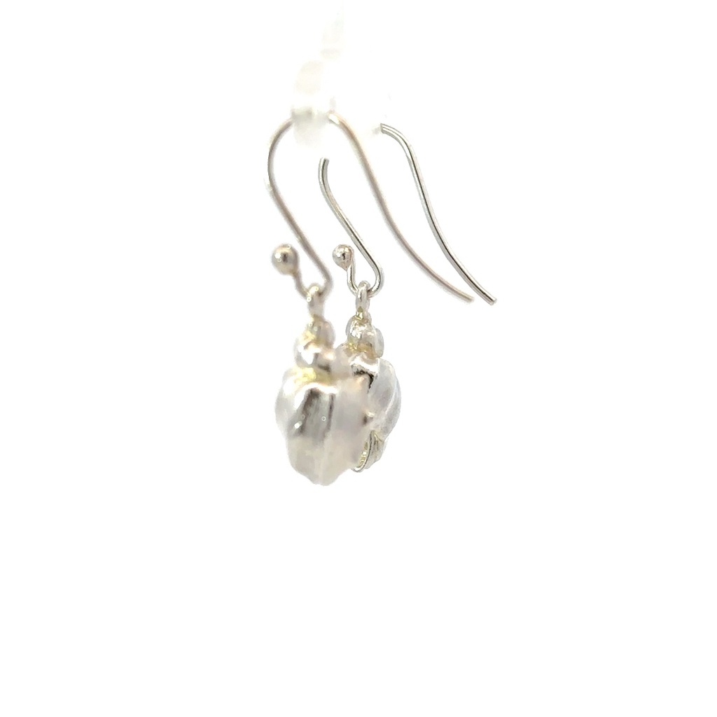 Conch Shell Earrings in Sterling Silver