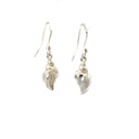 Conch Shell Earrings in Sterling Silver