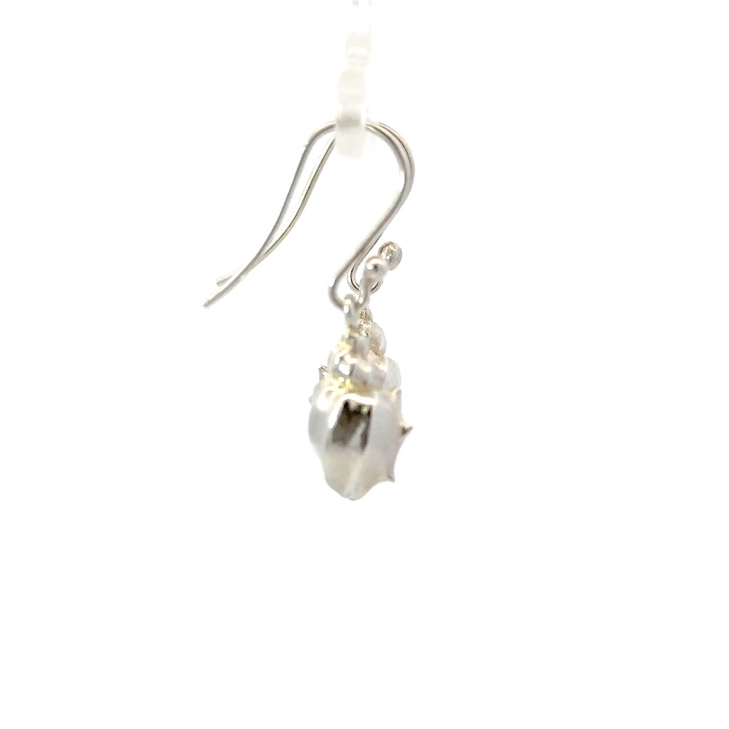 Conch Shell Earrings in Sterling Silver