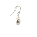Conch Shell Earrings in Sterling Silver