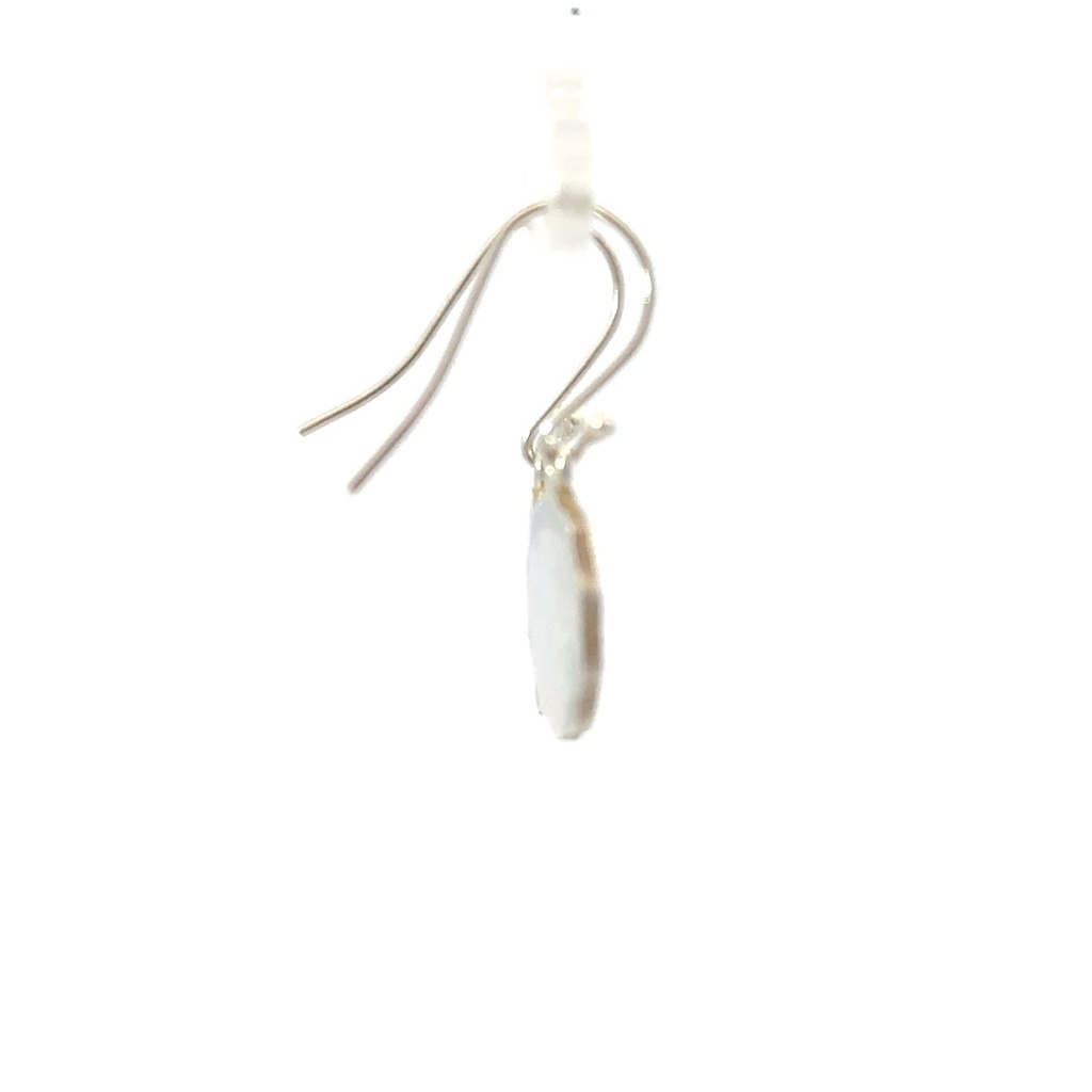 Greater Bird of Paradise Earrings in Sterling silver