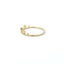 Gold plated Crown ring