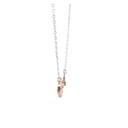 Rose Gold Plated Key on Serling Silver Necklace