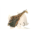 Animal Themed Gift Cards