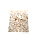 Pack of Six Cards With Cockatoo And Floral