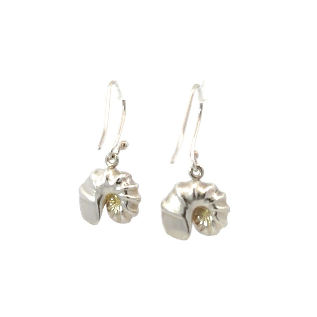 Cephalopoda Shell Earrings In Sterling Silver