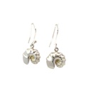 Cephalopoda Shell Earrings In Sterling Silver