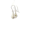 Gastropod Shell Sterling Silver Earrings