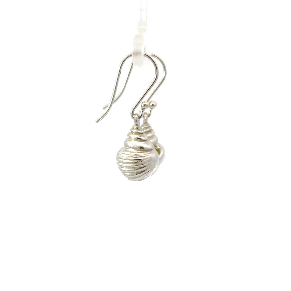 Gastropod Shell Sterling Silver Earrings