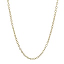 Plated 14K Gold Stainless Steel Necklace 55cm