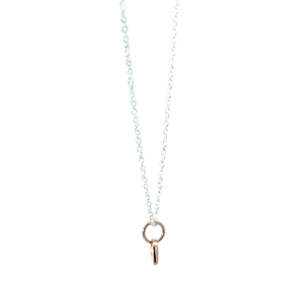 Petals Mother Necklace In Sterling Silver