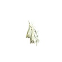 Eternal Knot Clip-On Earrings
