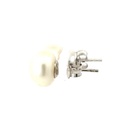 Freshwater Button Shaped Pearl Stud Earrings